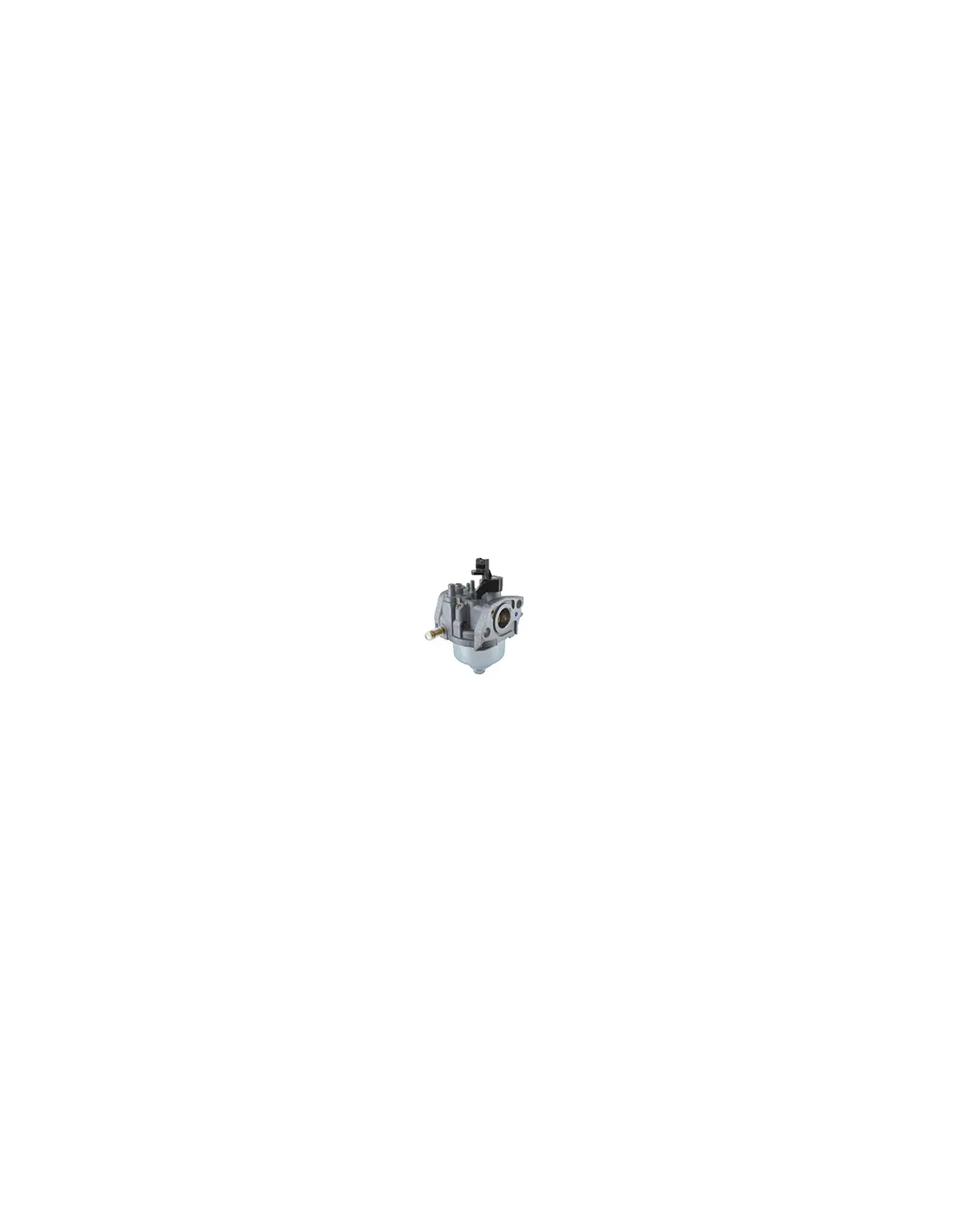 carburateur stiga pour moteurs rs100. origine 118550697/0.