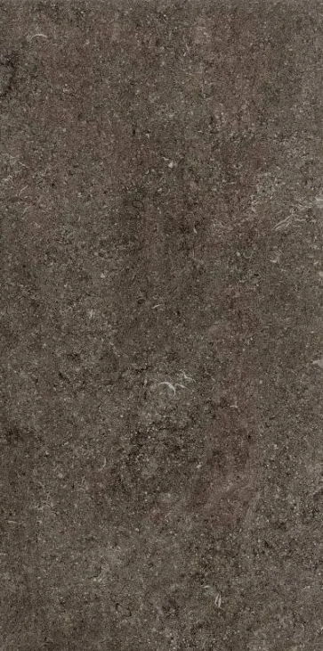Florim Sensi Brown Fossil 40x80 cm 768353 | Carrelage imitation pierre 