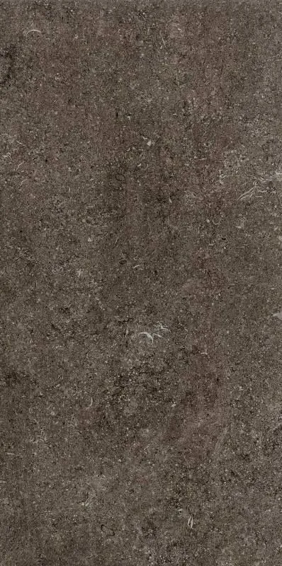 Florim Sensi Brown Fossil 40x80 cm 768353 | Carrelage imitation pierre 