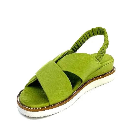Ivoire 109124 Cuir Vert