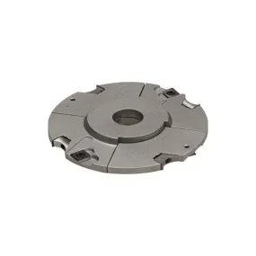 Porte-outils à Rainer LEUT - Extensible de 8 à 30 mm - Diamètre 160 mm - Alésage 30 mm 